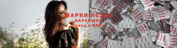 стаф Балахна