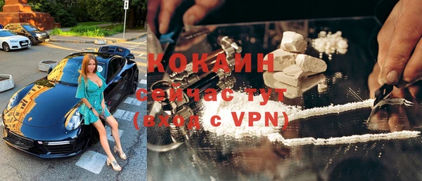 стаф Балахна