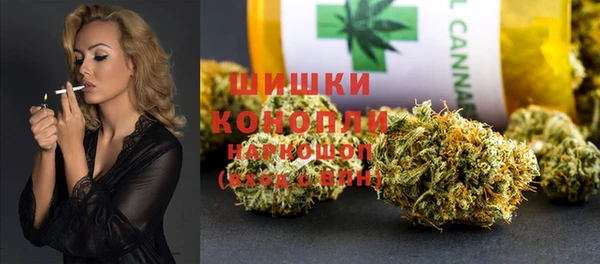 стаф Балахна
