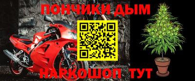 прущие грибы Азнакаево