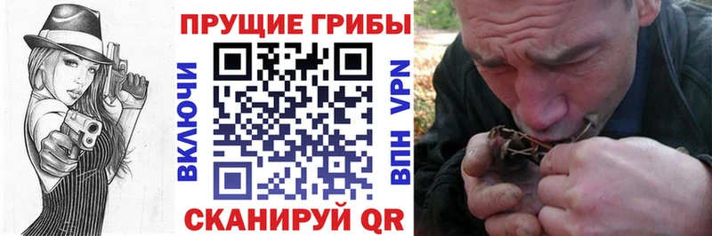 МЕГА   Белово  Псилоцибиновые грибы прущие грибы 