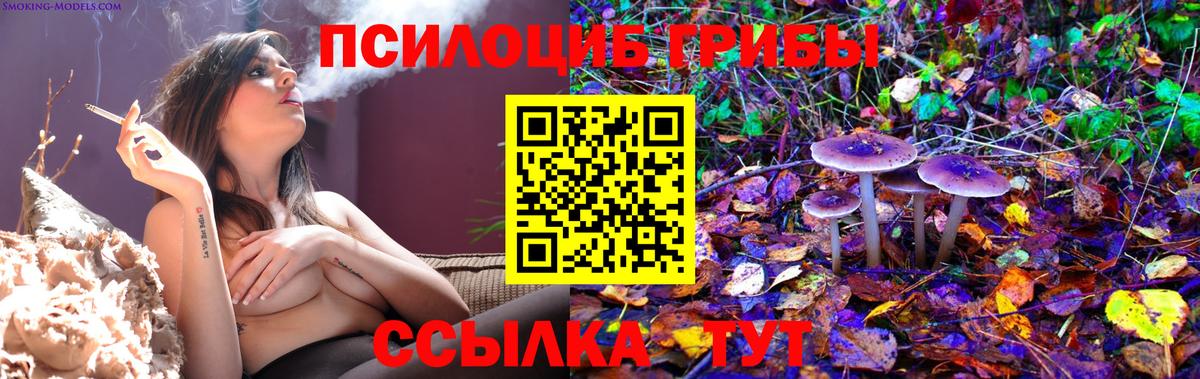 Галлюциногенные грибы Psilocybine cubensis Белово